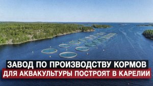 Завод по производству кормов для аквакультуры построят в Карелии