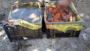 Какой бетон крепче?Эксперимент.. Прошло 40 дней!