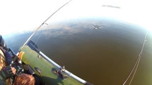 раттлин yo-zuri 3D Vibe 60мм#ловит в озере#со дна?#zaмир#