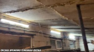 ПРАВИЛЬНАЯ ВЕНТИЛЯЦИЯ в птичнике / свинарнике / коровнике.