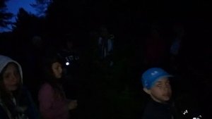 Пока цветёт папоротник