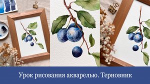 Урок рисования акварелью. Рисуем Терновник