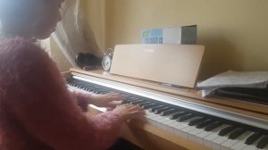Й. Гайдн менуэт соль мажор