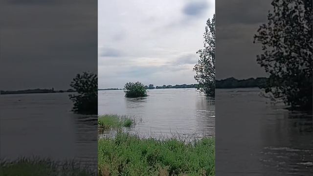 Херсон сегодня,арестанка,8июня 2023,набережная,вода всё еще поднимается