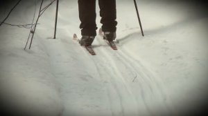 Пудож. Карелия. Прогулка на лыжах. В марте.