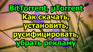 BitTorrent, µTorrent. Как скачать, установить, русифицировать, убрать рекламу