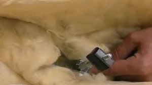 Монтаж модульного здания и блок-модулей Containex