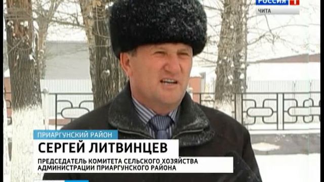 корма проблемы смотреть онлайн