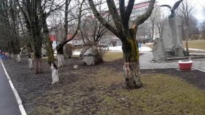 Санаторий Виктория Ессентуки, Ставропольский край. Обзор. Мои отзывы и впечатления.