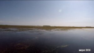 Поездка на лодке в с. Тишково, Астраханской области. Белинский банк, август 2016
