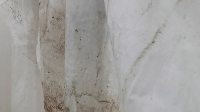 Готовлю теплицу к следующему сезону. Поликарбонат засияет как новый
