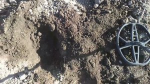 Поиск с Garrett ace apex, с катушкой 14x11" Reaper!