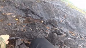 О таких рыбалках умалчивают