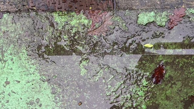 Sketch: texture idea for a new project смотреть онлайн