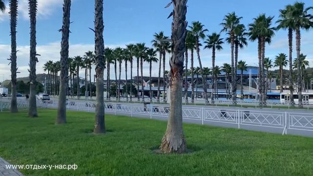 Сочи 2021 ПАЛЬМОВЫЙ РАЙ в ОЛИМПИЙСКОЙ ДЕРЕВНЕ, Адлер 🌊⛰🌴🏖🐬☀️ смотреть онлайн
