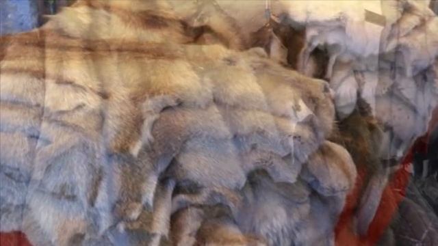 Выделка шкур как бизнес идея