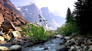 Лесной ручей Источник Звук ручья Шум ручья Звуки природы. Шум воды Пение птиц Горный ручей