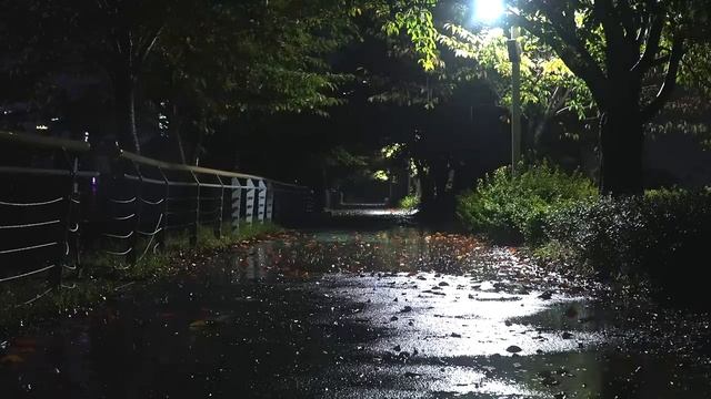 잠이 솔솔오게 만드는 바람과 빗소리, 불면증극복, 집중과 공부, 수면유도 백색소음 ASMR смотреть онлайн