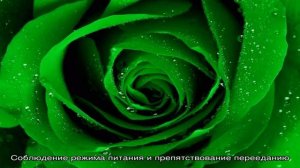 Почему у ребенка зеленый стул и что с этим делать?