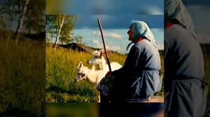 Ты жива ещё моя старушка .