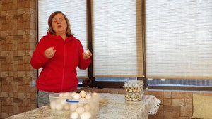 РАСКРЫВАЮ СЕКРЕТ: куры несушки с максимальной яйценоскостью - лучшее  для начинающих ЧАСТЬ 1