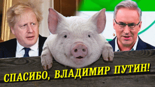 "Странная история со свиньёй !" 😂 Юморист Андрей Норкин порвал зал анекдотом про Бориса Джонсона