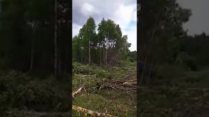 Кусторез К -1.7 М