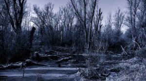 ПАРАНОРМАЛЬНОЕ МЕСТО РОССИИ | ЧЕРТОВО БОЛОТО