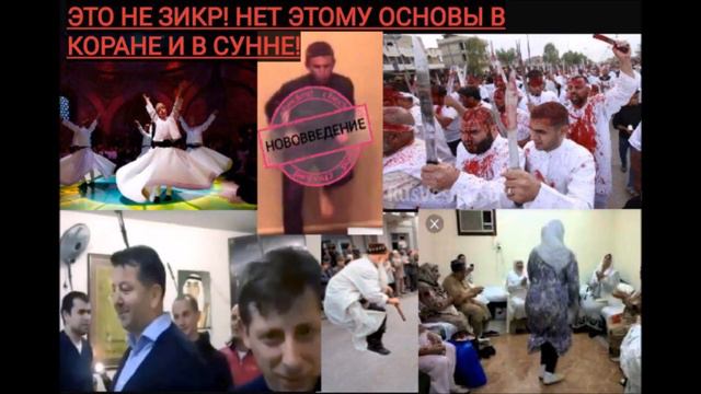 Обращение к истинным имамам Исламской Уммы!