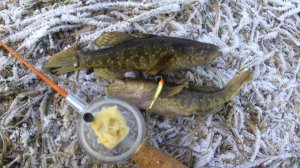 Первый лёд,экстремальная рыбалка,первые поклёвки,ловим ратана,ратан на блесну.