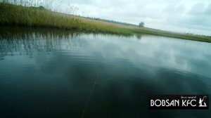 Ловля на воблер Pontoon21 Cheerful. Красноперка.