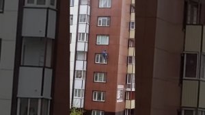 В Смоленске спасли кошку, застрявшую в окне на 6 этаже дома