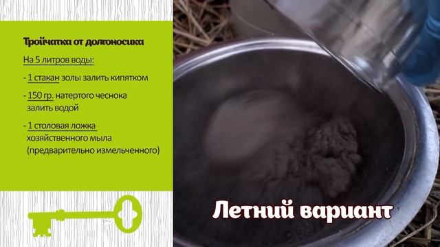 Как ухаживать за земляникой осенью? смотреть онлайн