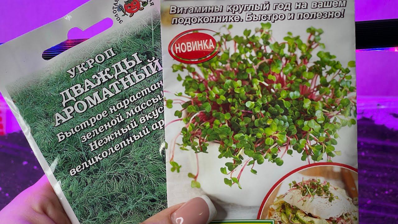 Рассада БЕЗ ЗАМОРОЧЕК. Супер простой способ выращивания зелени дома.