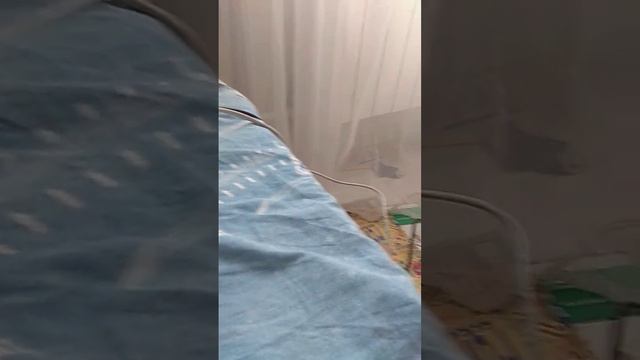 новая колонка смотреть онлайн