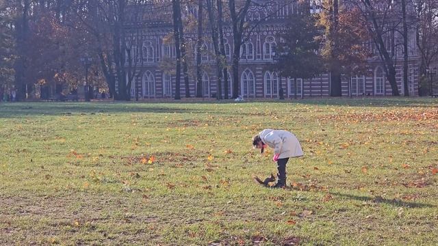 #москва #осень #парк #царицыно #замок #башня #русалкины #ворота #белка #хорошаяпогода смотреть онлайн