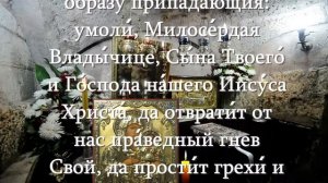 МОЛИТВА БОЖЬЕЙ МАТЕРИ ПРЕД ИКОНОЮ "ИЕРУСАЛИМСКАЯ" с текстом