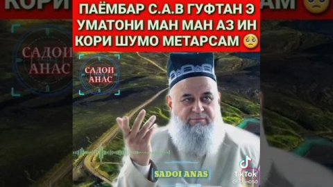 Панду насихат