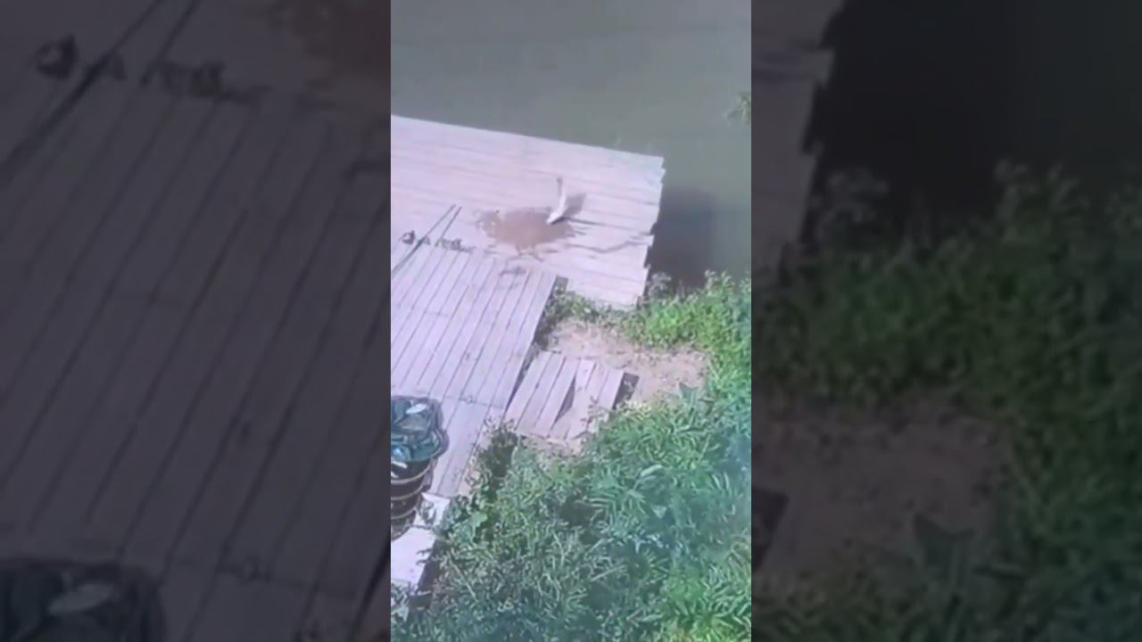 Когда в клубе захотелось домой смотреть онлайн