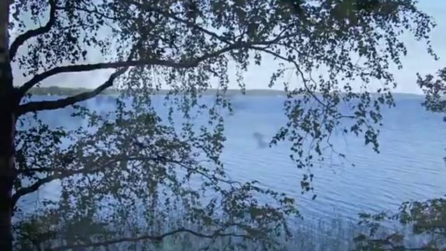 ЖАННА БИЧЕВСКАЯ. АХ,КАК ПТИЦЫ ПОЮТ смотреть онлайн