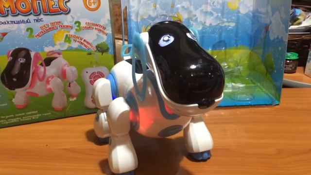 Космопес голубой и розовый