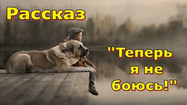 Интересную историю о том, как мальчик смог победить свой страх, рассказывает Светлана Тимохина. смотреть онлайн