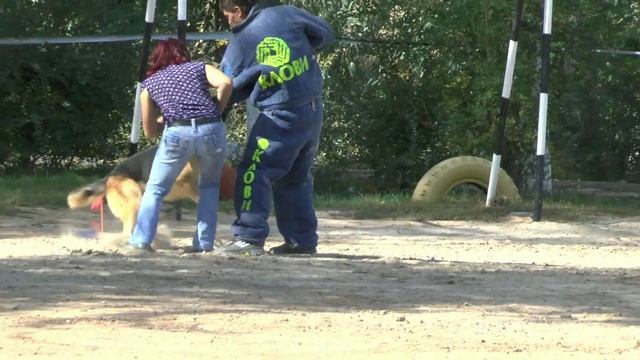 Русский Ринг Астрахань осень 2013 смотреть онлайн