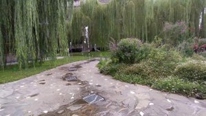 Сочи, Замок у моря, 18.09.2020