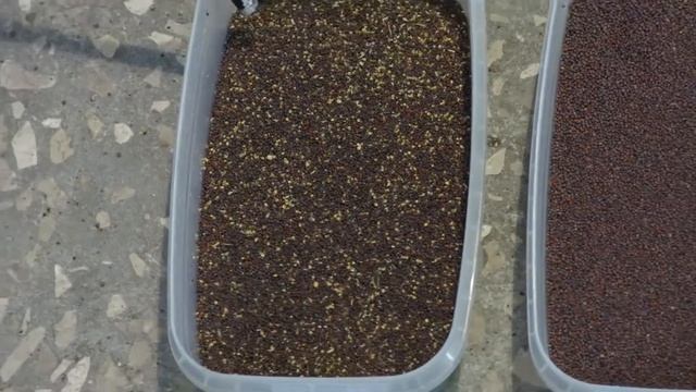 Сепаратор спиральный Клен CC 1 смотреть онлайн