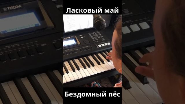 Ласковый май - Бездомный пёс.