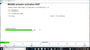How To Test Your BMW Fuel Pump Using INPA