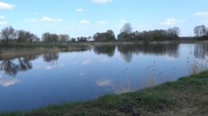 белгородская область волоконовский район деревня александровка