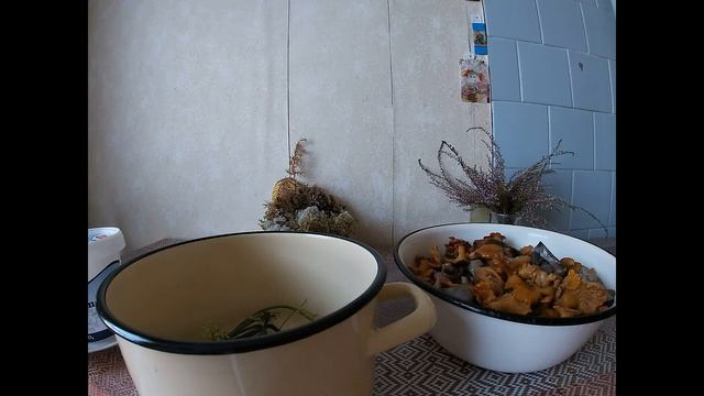 Как солить грибы и не варить варенье...  #солёныегрибы  #сыроеваренье смотреть онлайн