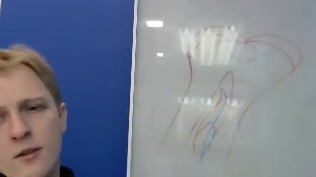 Химический состав кости